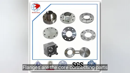 All Types ASTM A182 F316 Galvanized Flanges
